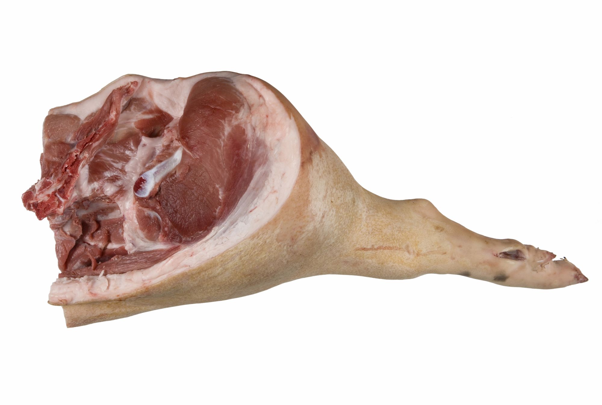 CIOLANE PORC FATA