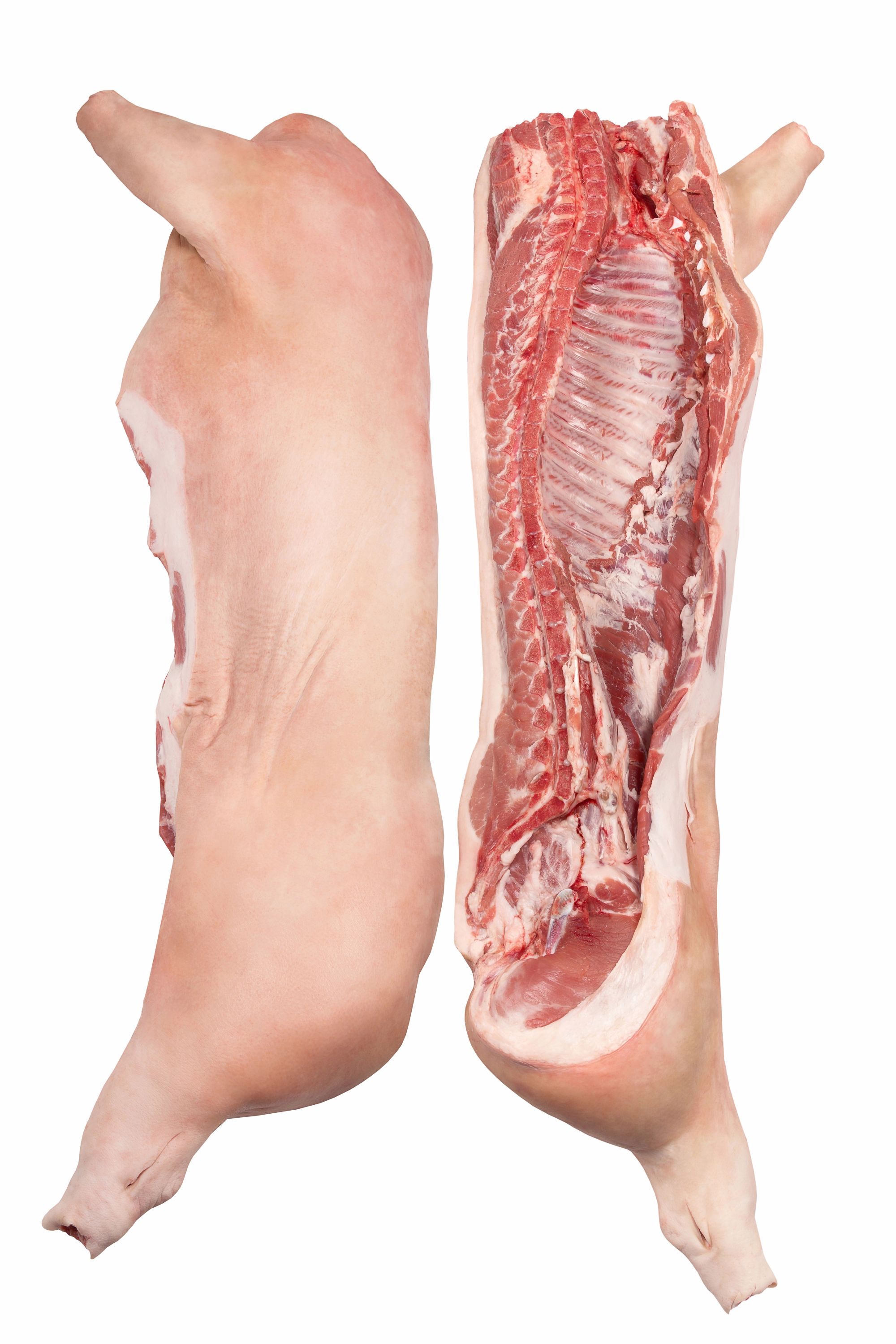 carcasa porc