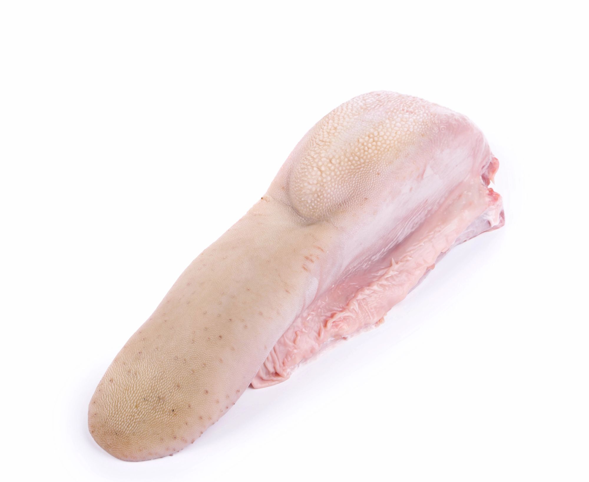 LIMBA VITA